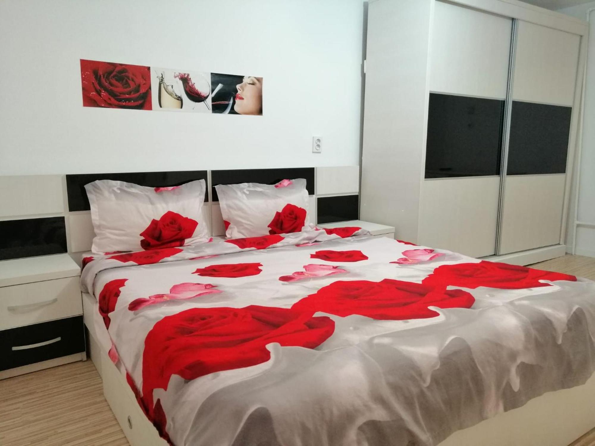 Ursul Balu Apartament Brașov